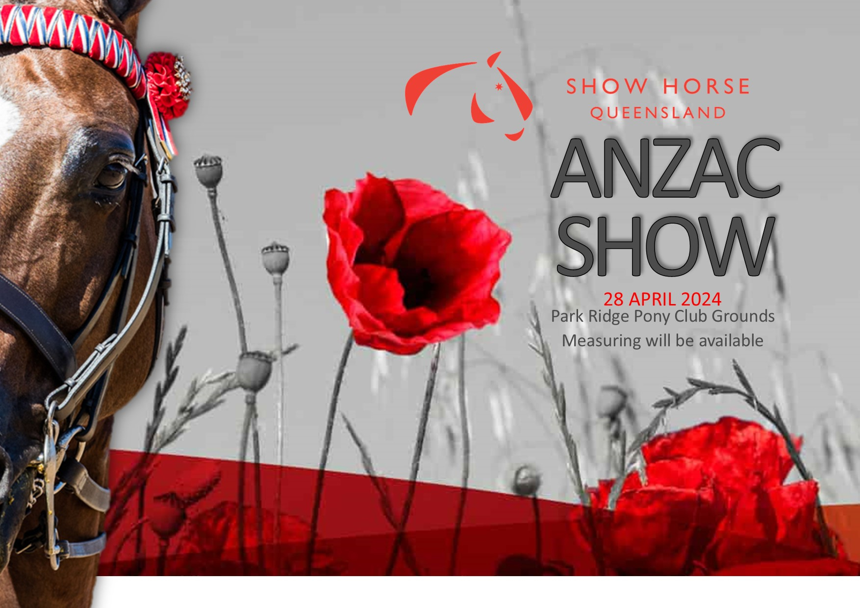 Show Horse QLD ANZAC Show Dressage Queensland